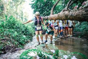 BIB: 
                            <button type="button" onclick="openModal(25467362)" class="btn btn-primary btn-sm float-right btn-popup" data-toggle="modal" data-target=".modal-high-quality">
                        <i class="fas fa-shopping-cart"></i> Add to Cart
                    </button>
                                            <button type="button" onclick="isThisMe(25467362, true)" class="btn btn-success btn-sm float-right btn-popup btn-isme hidden" data-toggle="tooltip" data-placement="bottom" title="นี่คือรูปของคุณใช่ไหม คลิกที่นี่เพื่อเอาเข้าอัลบั้ม">
                        <i class="fas fa-plus"></i> Add to album
                    </button>
                    <button type="button" onclick="isThisMe(25467362, false)" class="btn btn-warning btn-sm float-right btn-popup btn-isnotme hidden">
                        <i class="fas fa-ban"></i> Remove from album
                    </button>